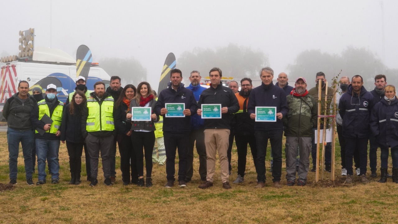 imagen Avanza el plan de forestación de las rutas nacionales